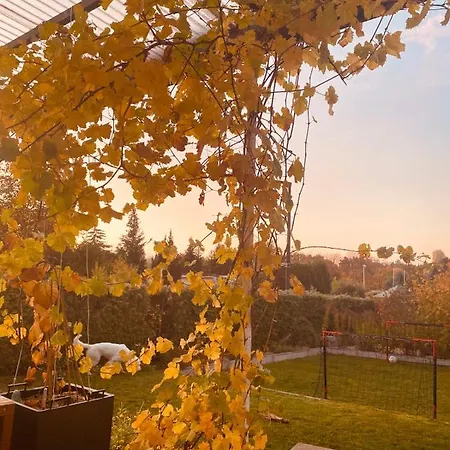 Hatzels Haeuschen * 찌른도르프